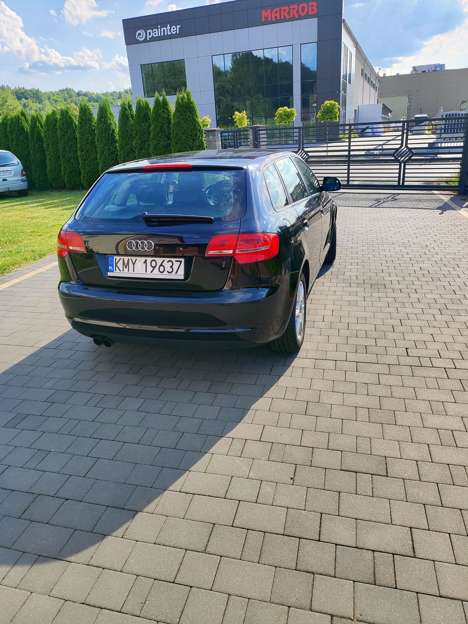 Audi a3 8p 1.9 TDI