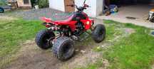Shineray 300xy St-4e
