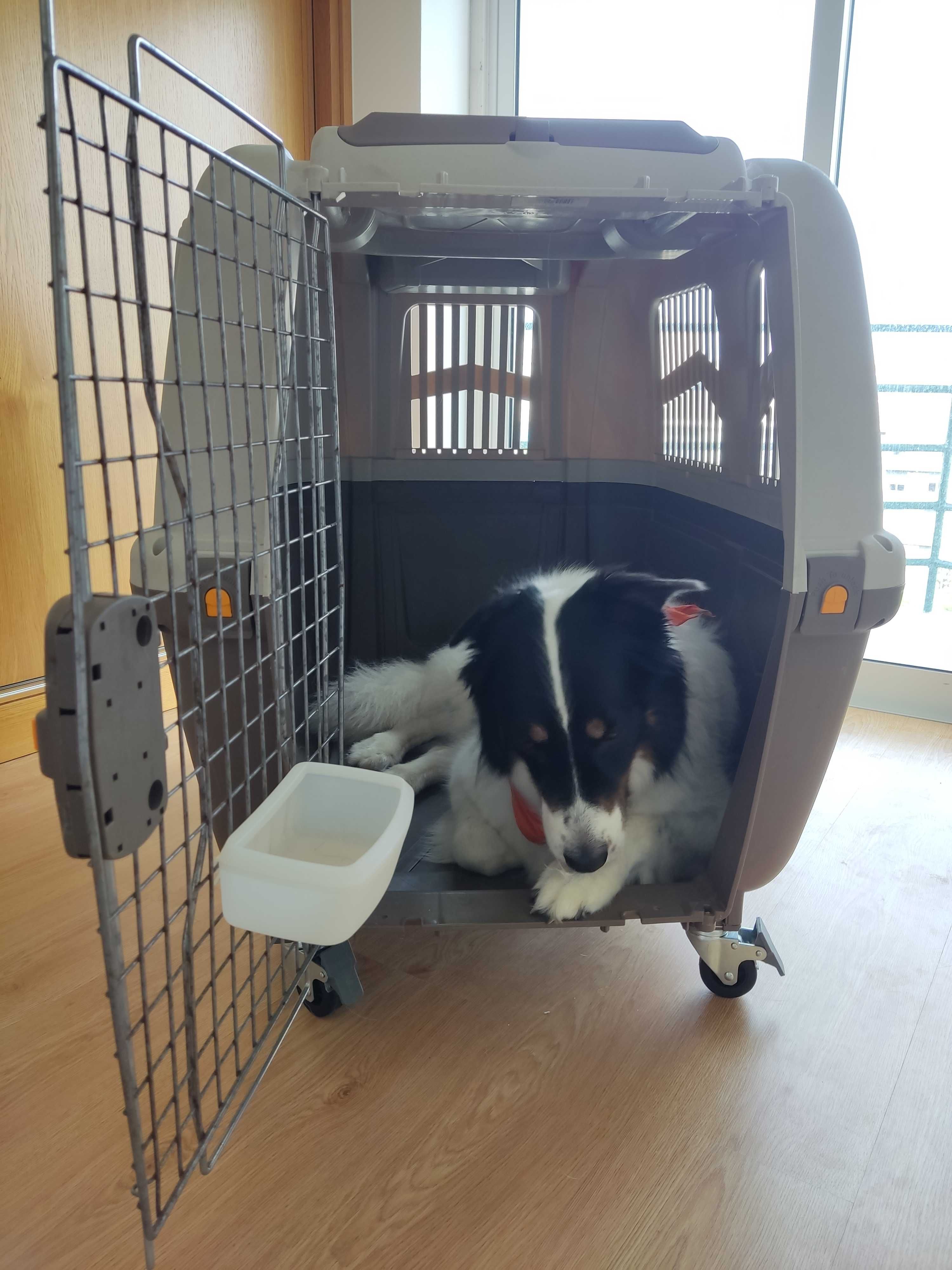 Vendo Transportadora para cão