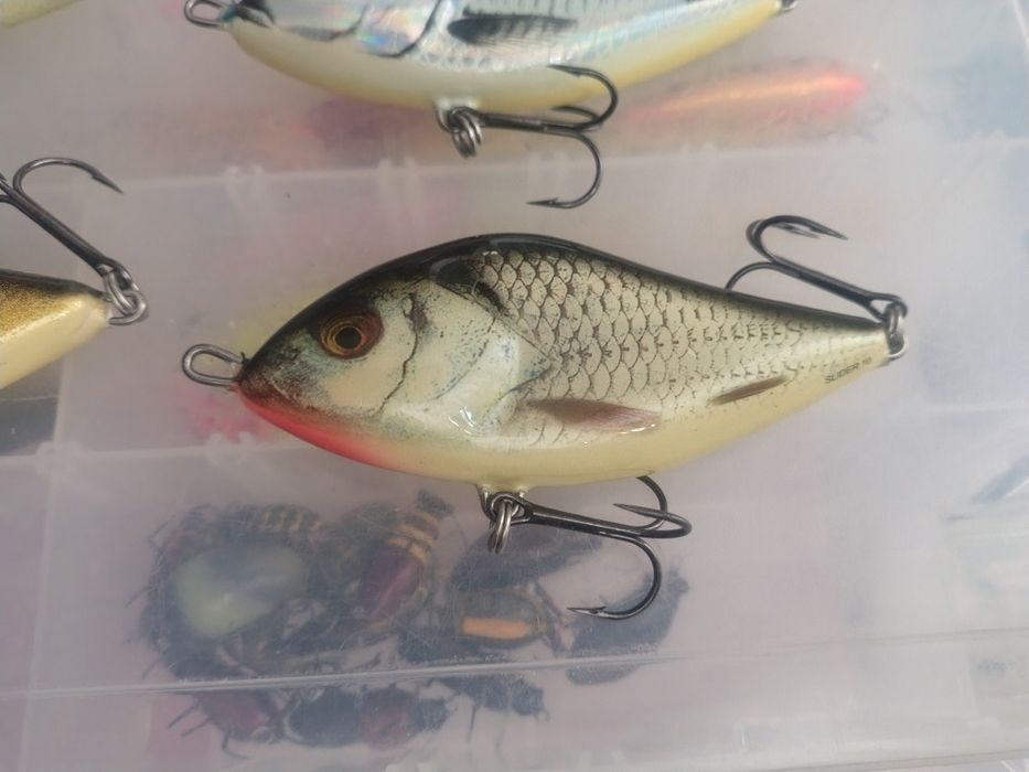 Salmo Slider 12 i 10 cm