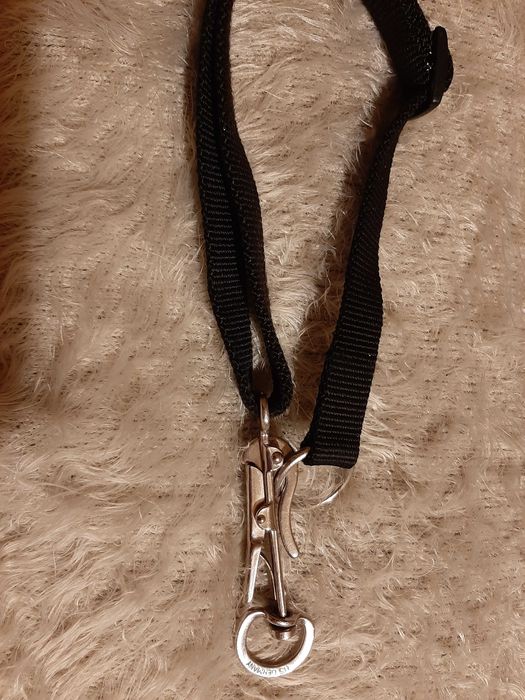 Obroża z samouwalniającym karabińczykiem