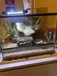 Terrarium z wyposażniem