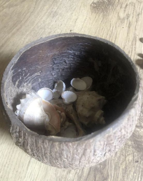 Кокос з мушлями для акваріуму