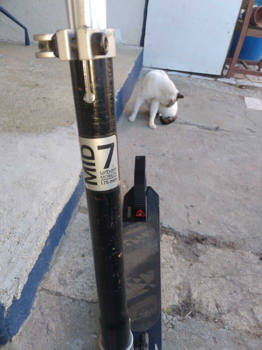 Trotinete s/ motor Oxelo