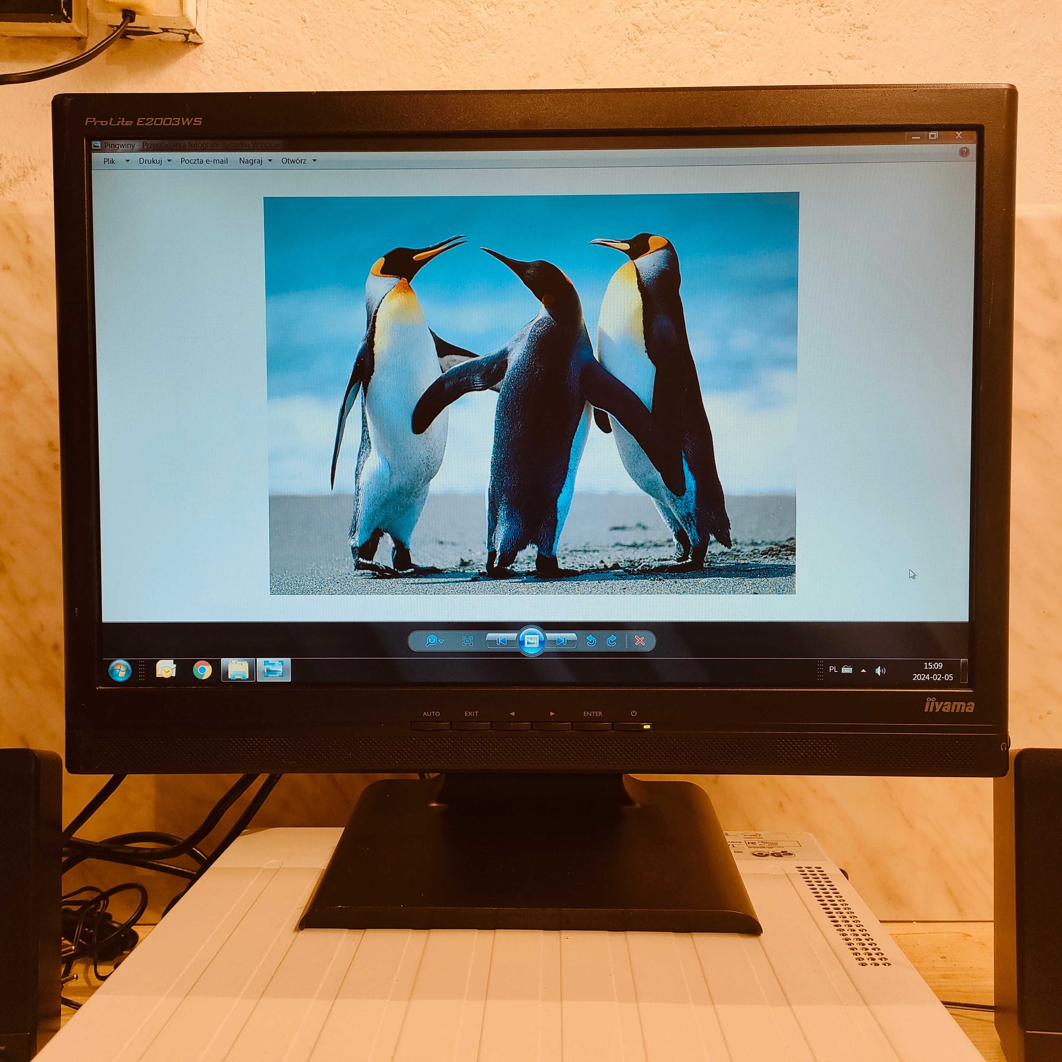 Monitor iiyama ProLite 20 cali