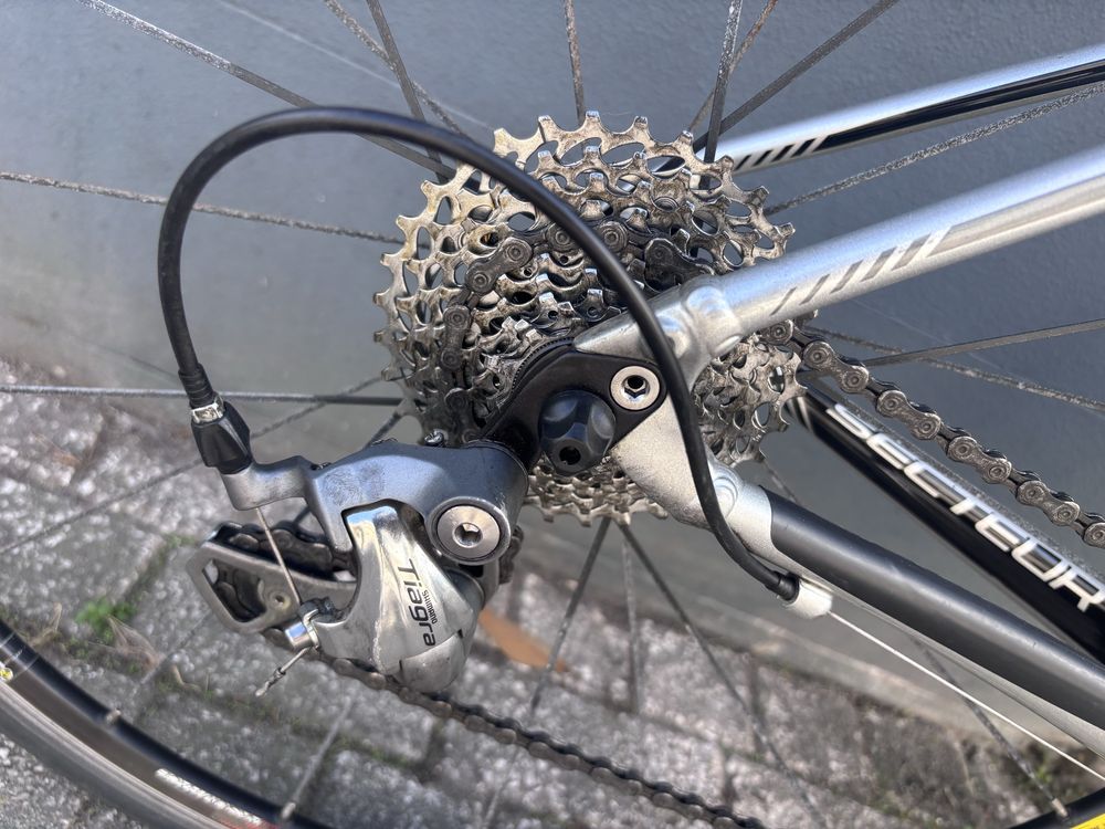 Specialized Secteur