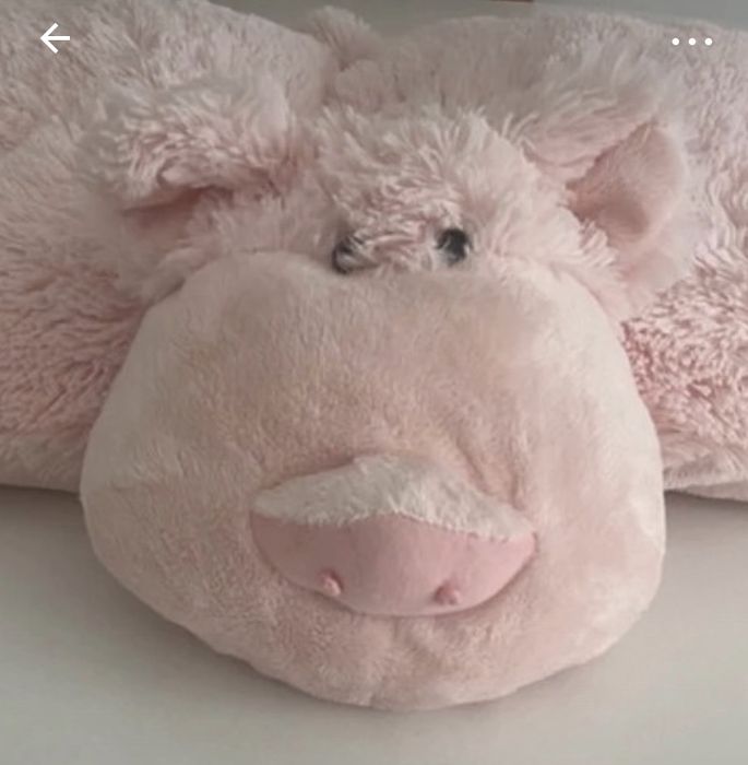 Porquinho que se pode transformar em almofada