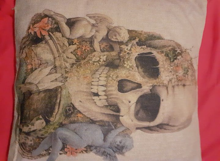 capas de almofada novas