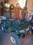 Yamaha gryzli 350