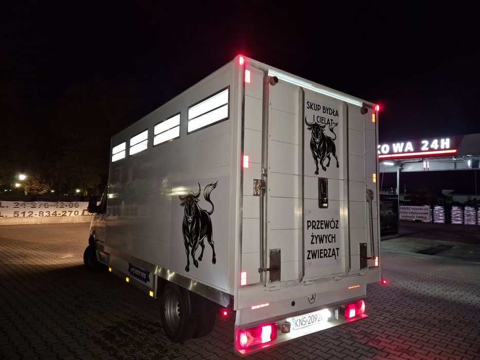 Sprinter do transportu zwierząt zywca bydła