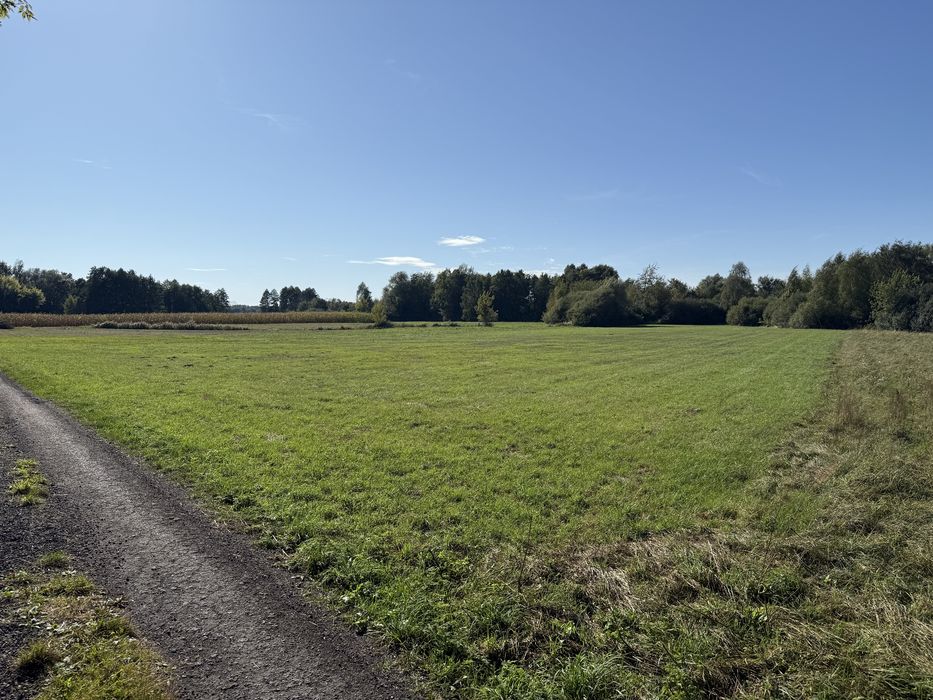 Działka inwestycyjna7730 m² media-prąd, woda miejska w sąsiedztwieCPK