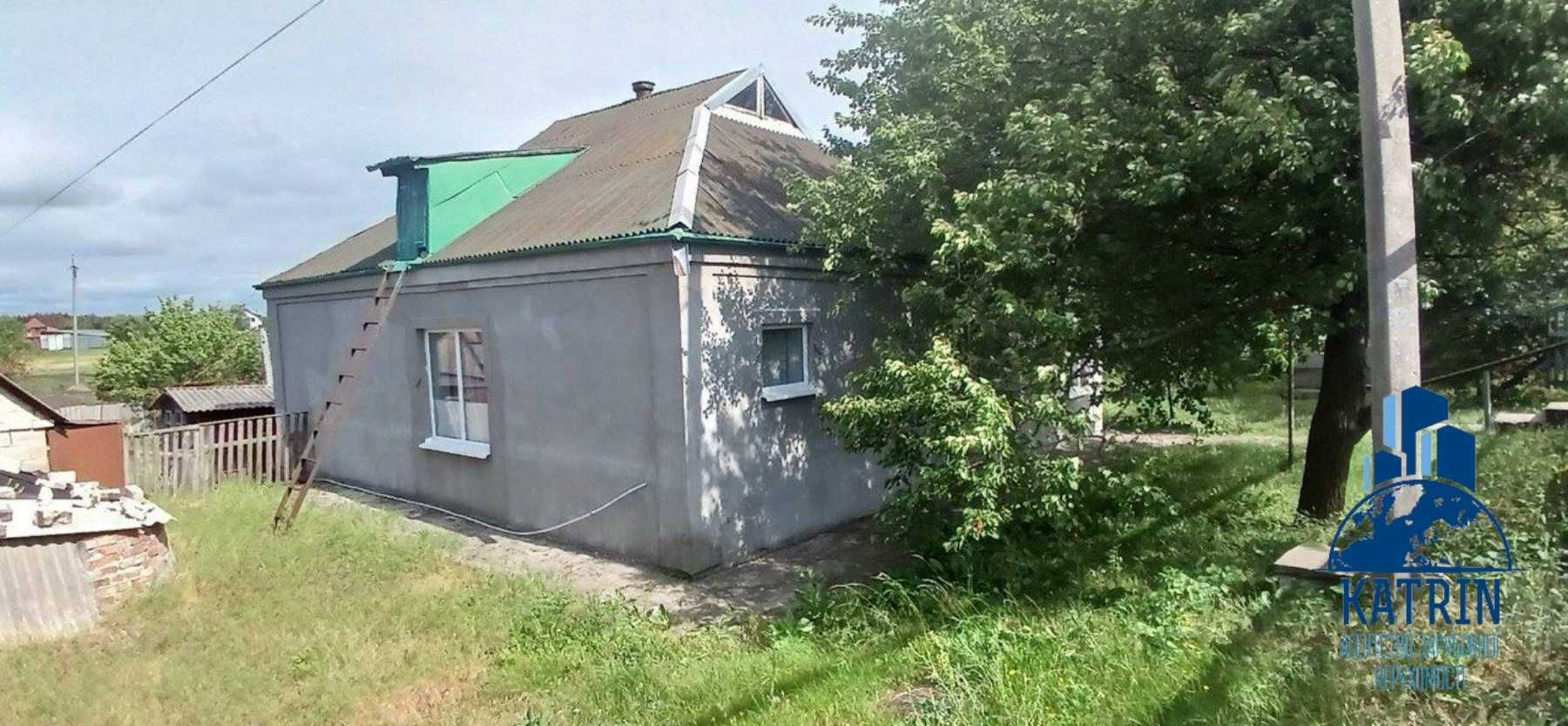 Продам будинок в селищі Царичанка
