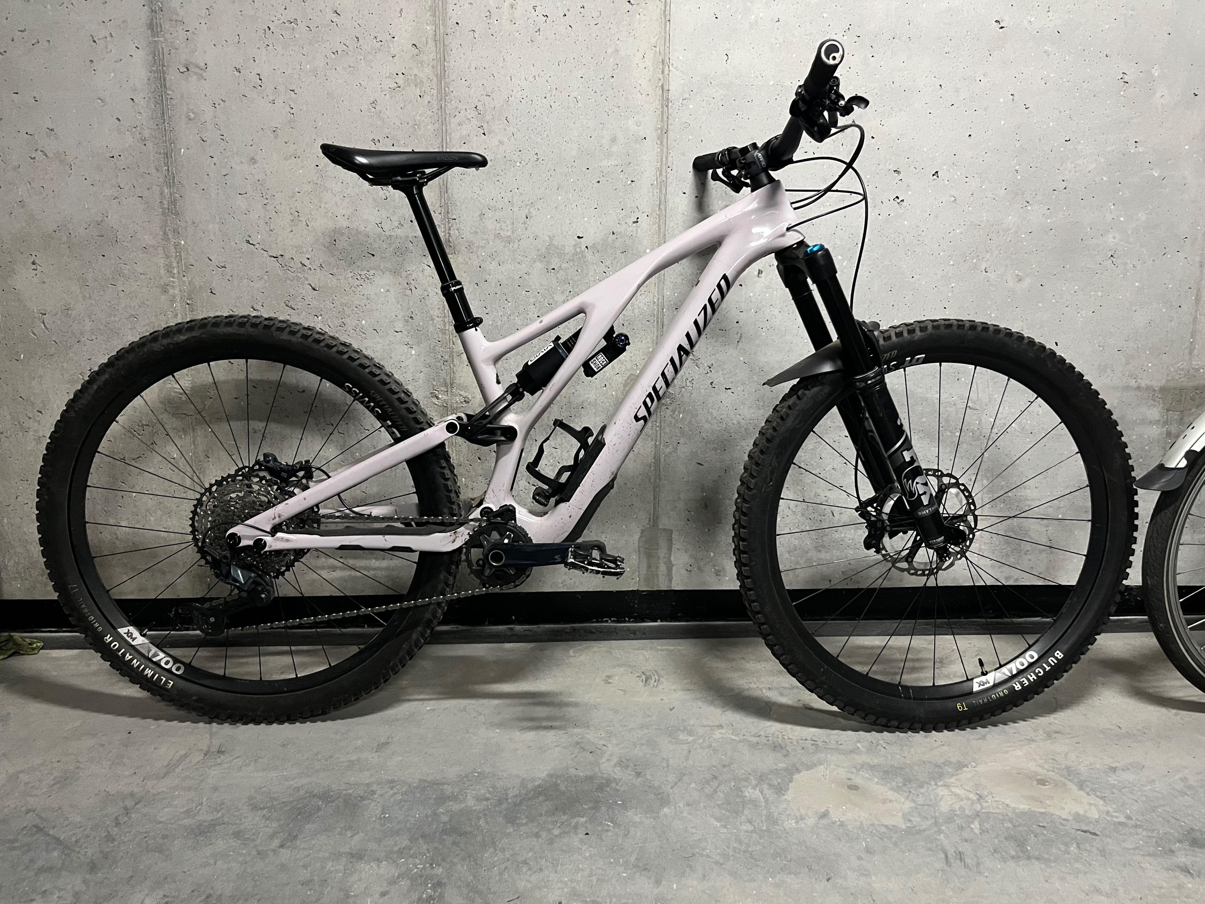 Stumpjumper Evo Comp S3