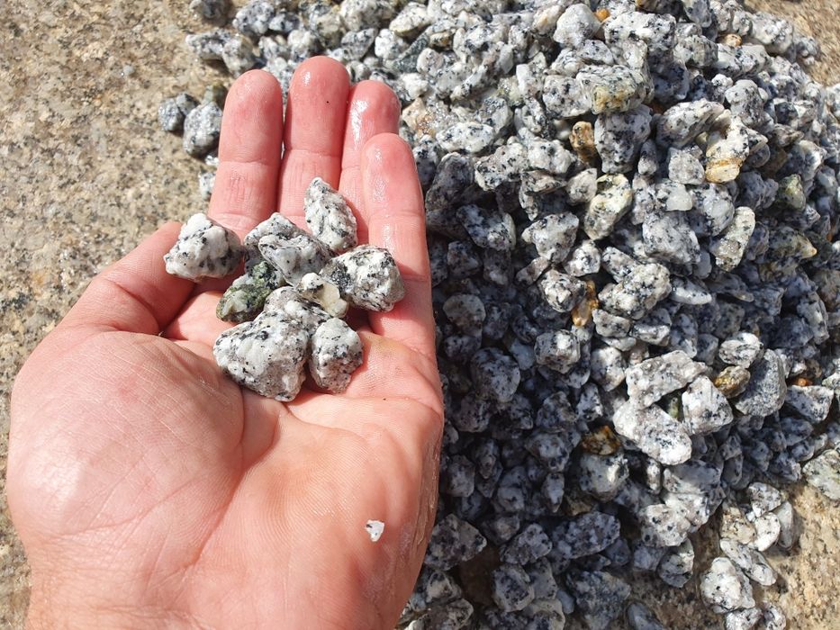 Grys granitowy dalmatyńczyk 8 16 kamyk