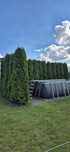Tuja thuja szmaragd 3.5 metra 350 cm tuje 18 sztuk