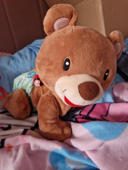 Raczkujący Miś Tuptuś