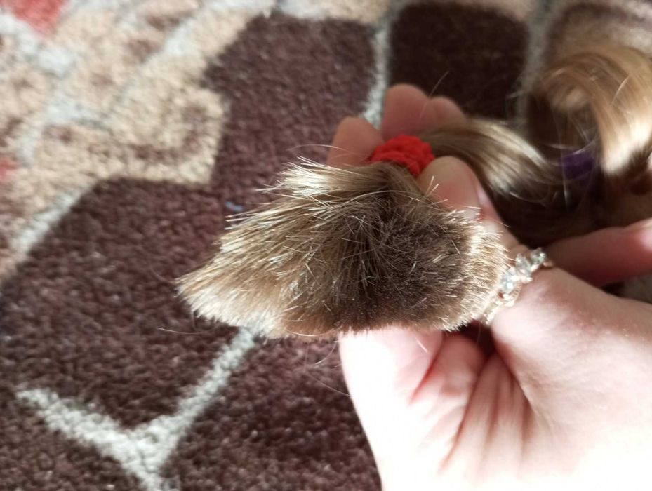 Волосся. Волосы. Отрез волос. Светлый русый. Волосы для наращивания.