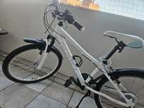 Rower dziecięcy Romet 24” biały
