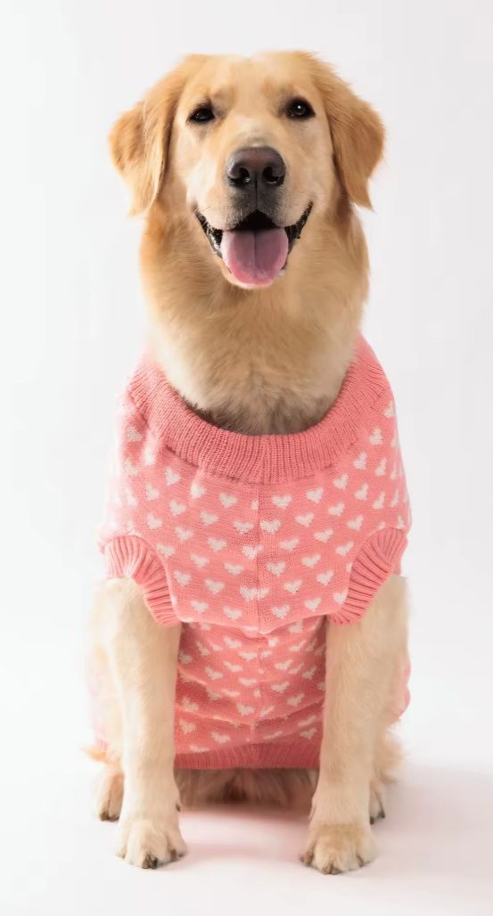 Camisola para cao - cor de rosa com corações