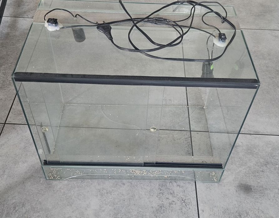 Terrarium szklane dla gekon 50x30x40