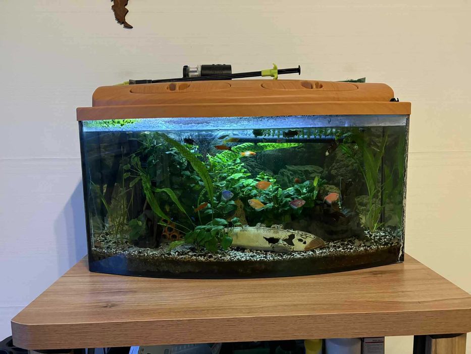 Akwarium 120 litrów