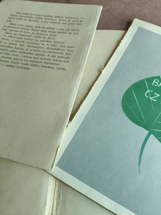 Książka Opowieści starej sowy ⁵⁸