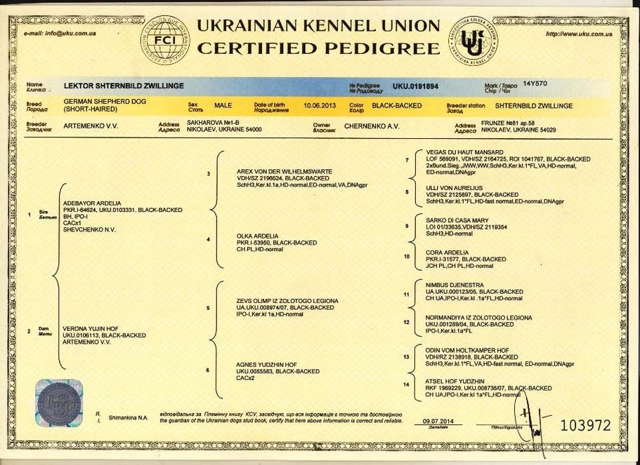 Кобель немецкой овчарки для вязки