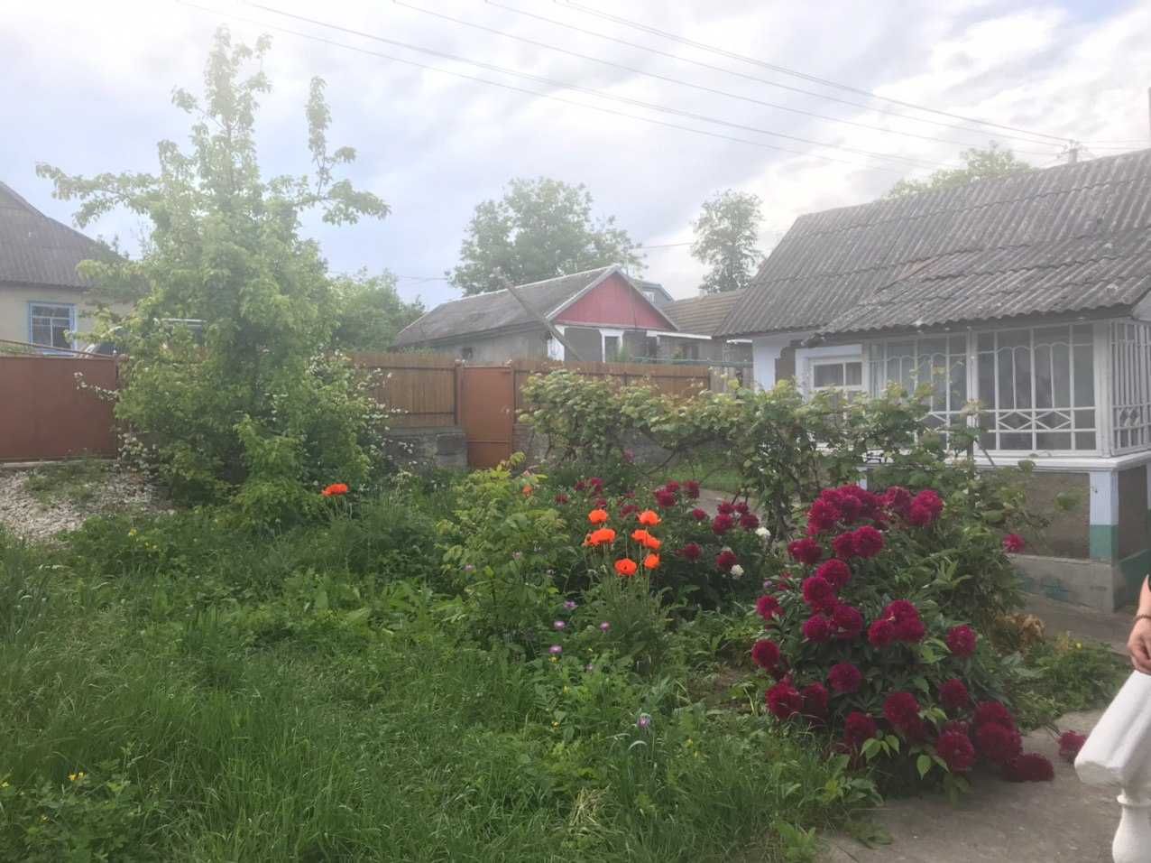 Продам будинок в с. Дем'янківці