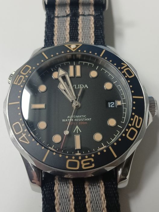 Zegarek męski Phylida NTTD