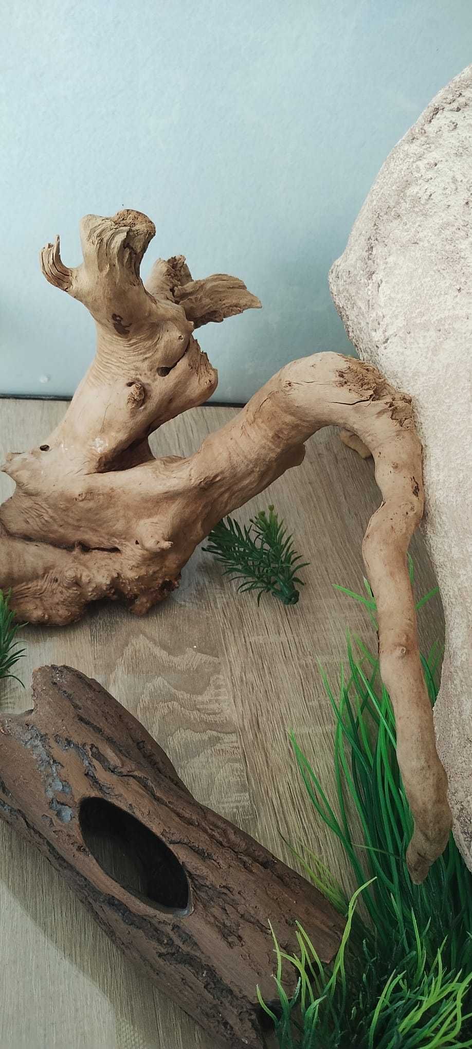 Terrarium dla gekona/węża