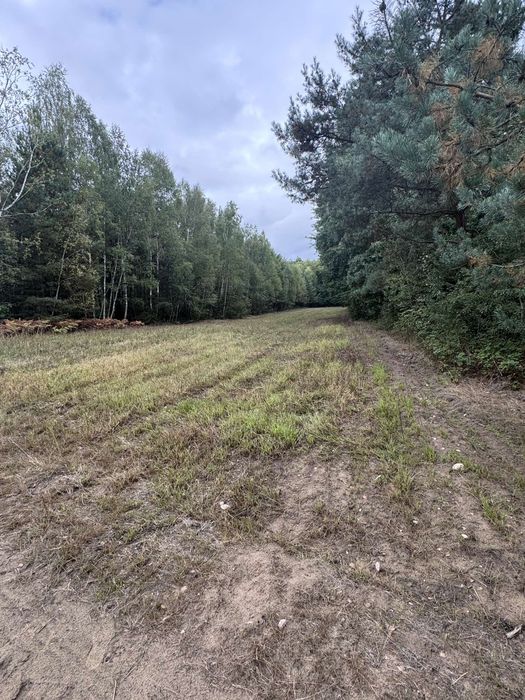 Na sprzedaż działka rolna z częścią leśną – 1,3 ha/Mariampol