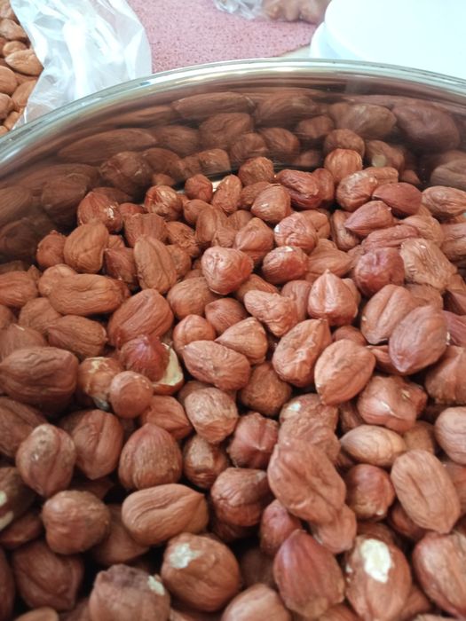 Orzech laskowy suszony