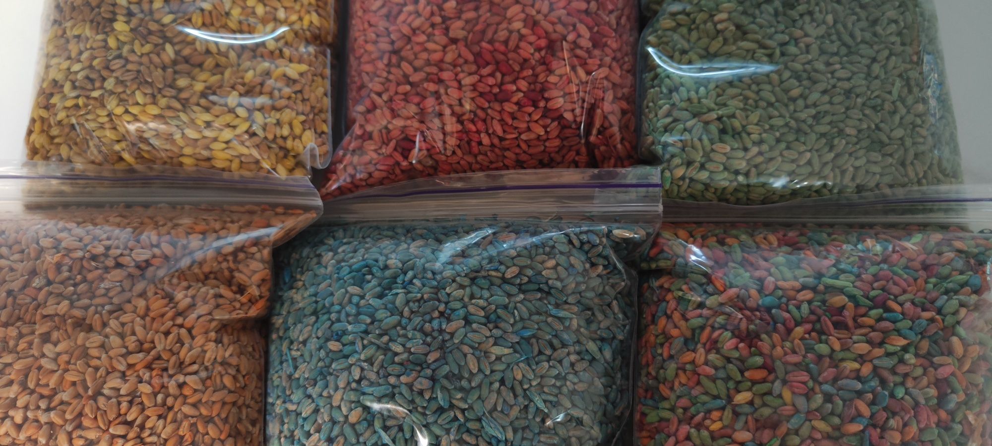 Кольоровий рис , горох цілий, пшеницядля сенсорики, для занять