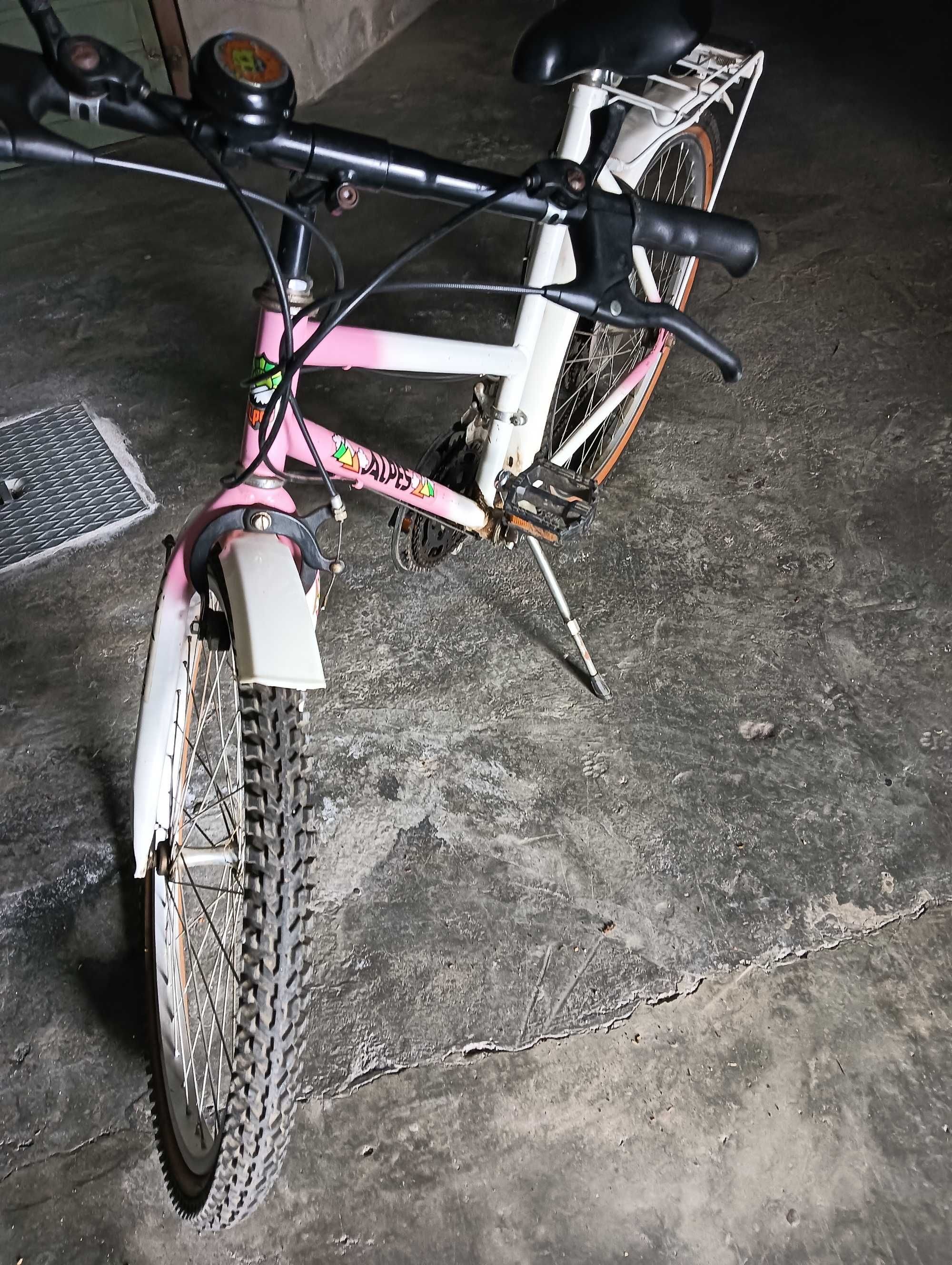 Bicicleta de senhora