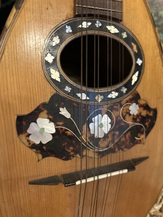 Mandola mandolina intersjowana