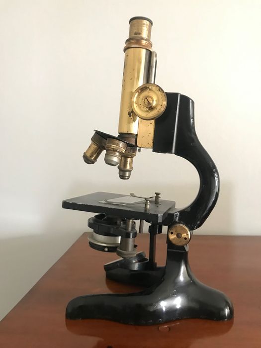 Mikroskop Ernst LEITZ WETZLAR