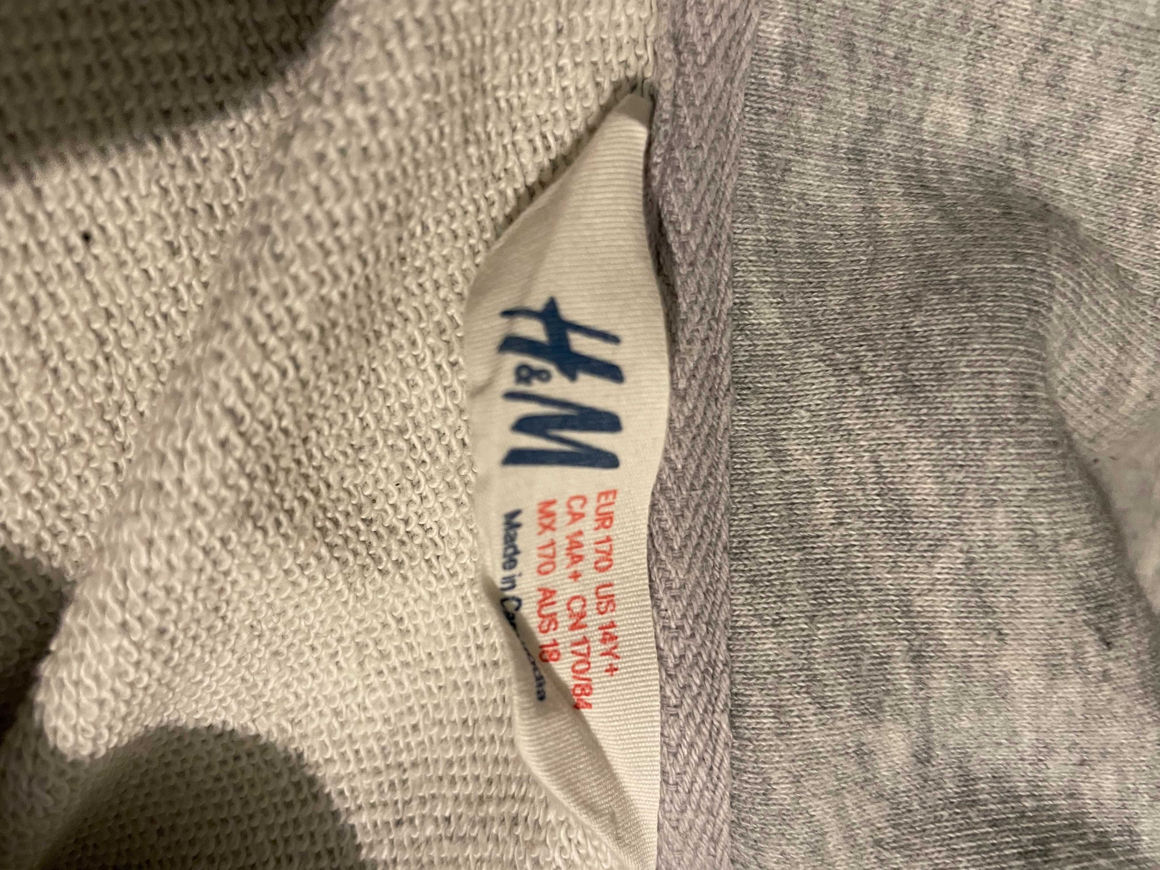 Szara bluza dla chłopca, H&M, rozm. 164/170 cm