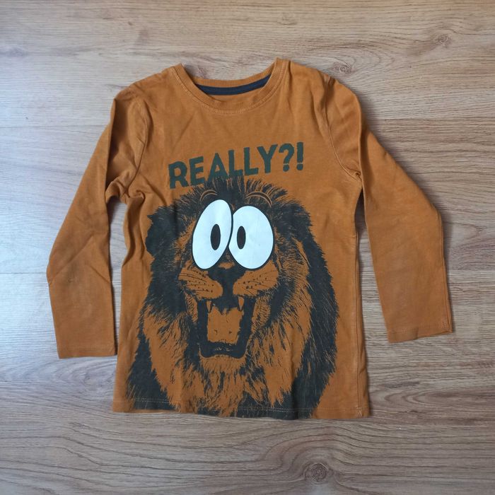 Podkoszulki / T-shirty - r. 116 - Paka (12 sztuk)