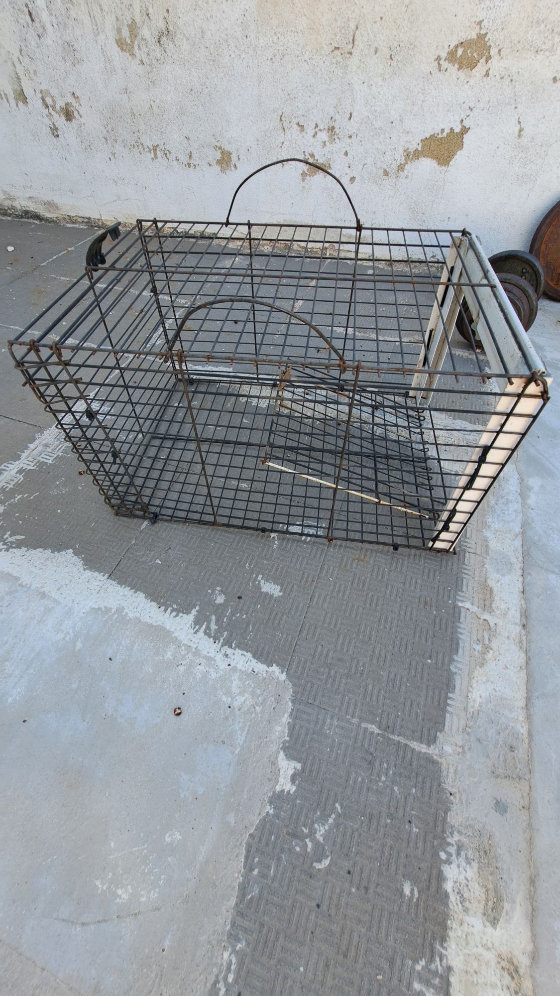 Ratoira artesanal para gatos e afins