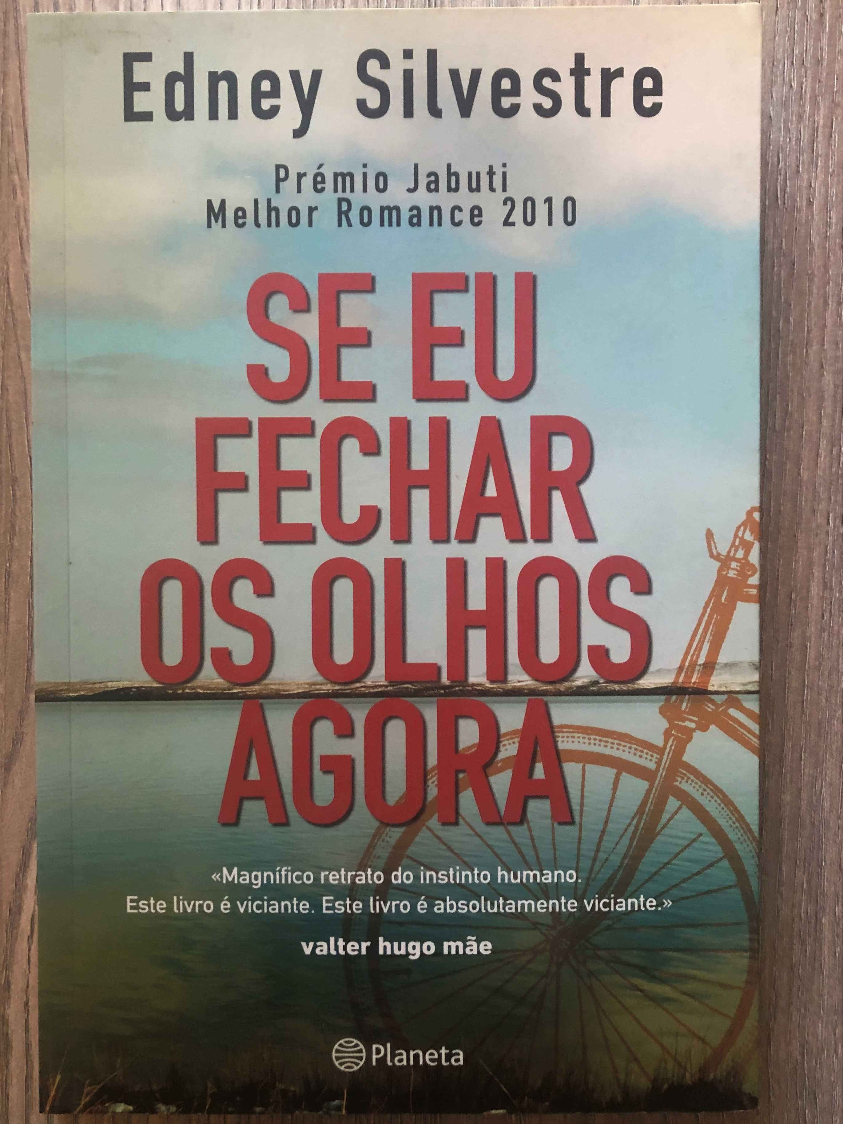 Se eu fechar os olhos agora - Edney Silvestre