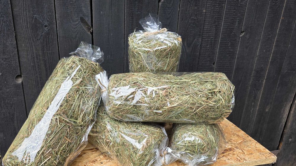 Szwagier mówi że to pójdzie;) Sianko dla gryzoni PREMIUM 2szt wysyłka