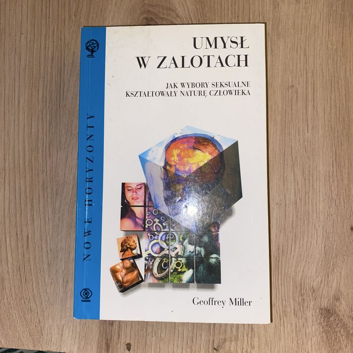 Umysł w zalotach ksiązka jak nowa