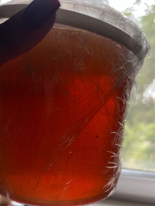 Домашній мед, прямо з пасіки