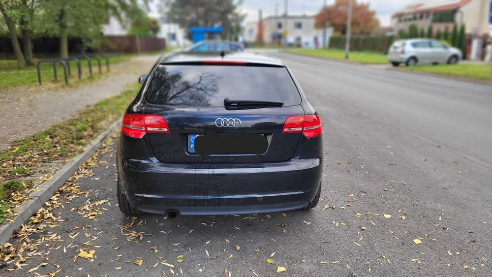 Audi a3 8p 2.0tdi common rail  dsg