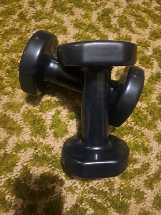 Halteres/Peso Treino