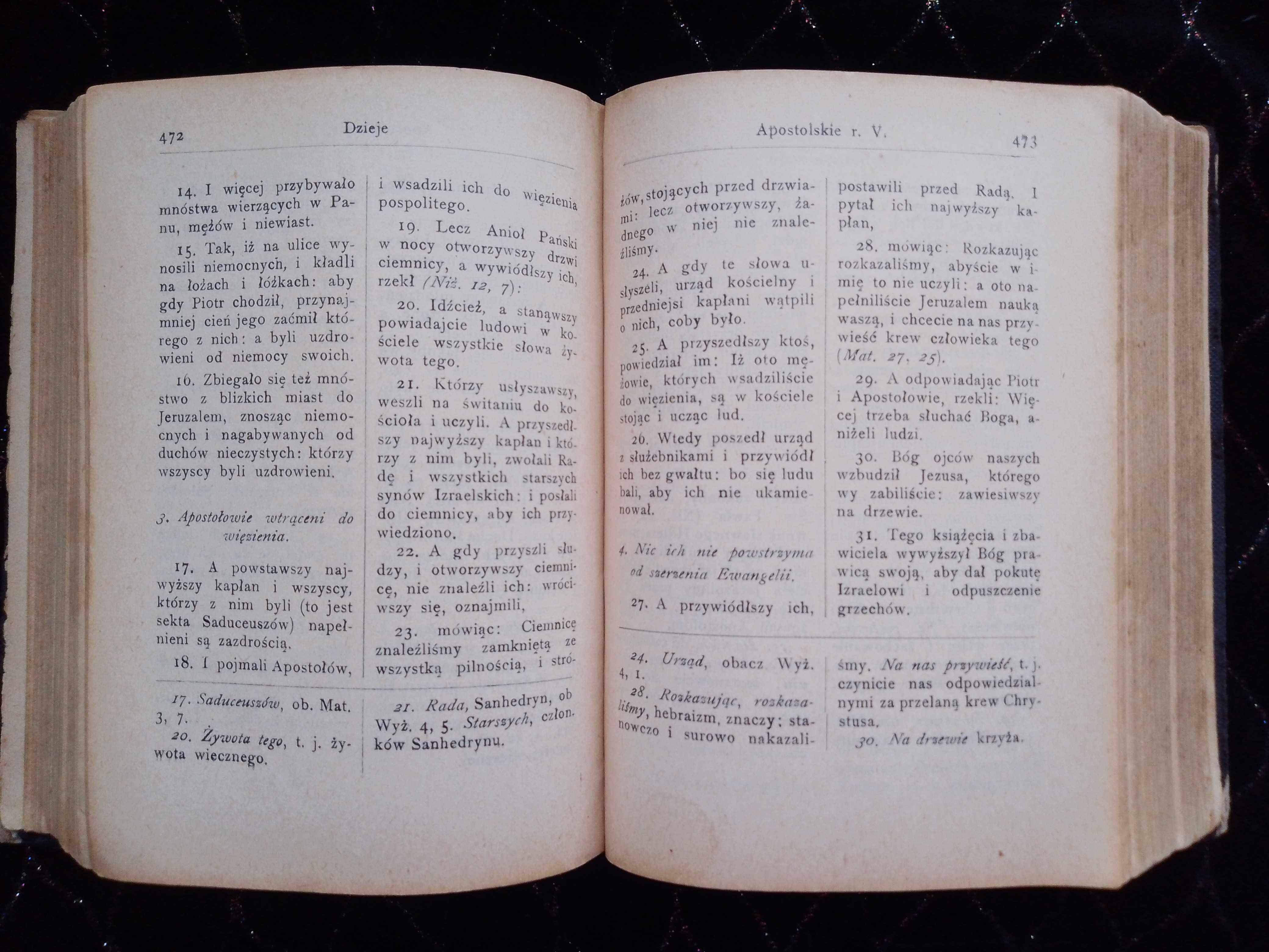 Zabytkowa antyczna niepowtarzalna Biblia  wydanie przedwojenne