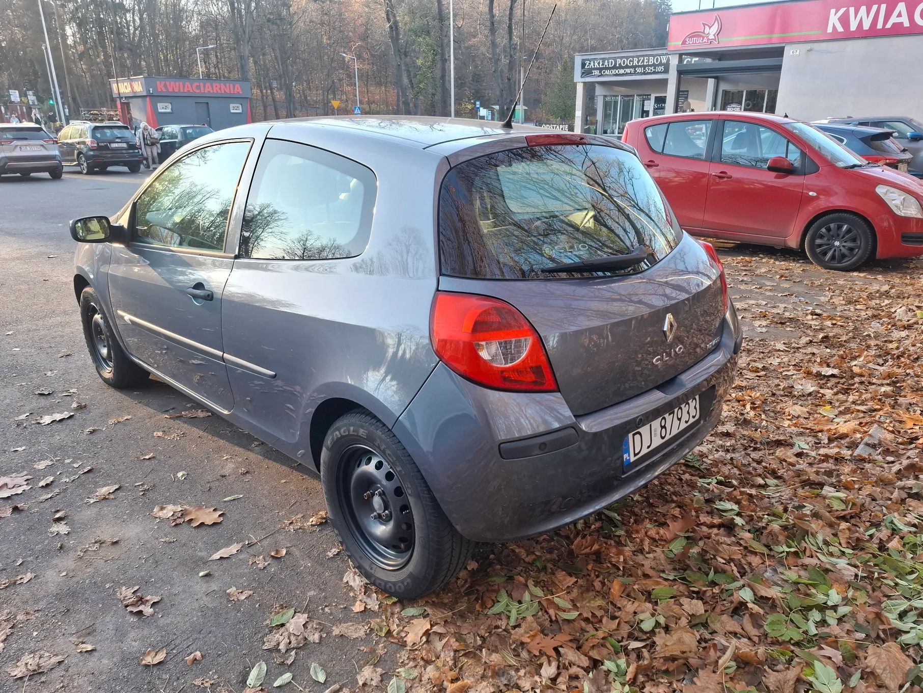 Renault Clio Renault Clio III 1.6 16V Expression | Bezwypadkowy | Niski przebieg