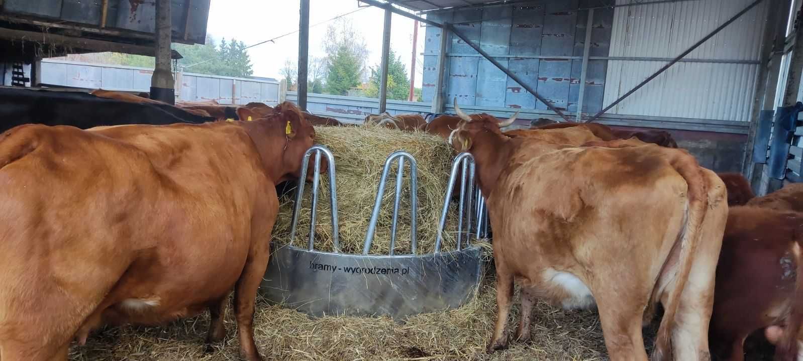 Paśnik 12 stanowiskowy na bele bardzo mocny 165 kg wagi ocynk