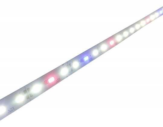 Tuba Belka LED PLANT do akwarium 60cm.