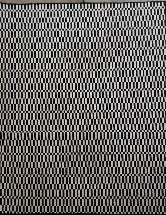 Dois Tapetes de Sala - 230x160 cada